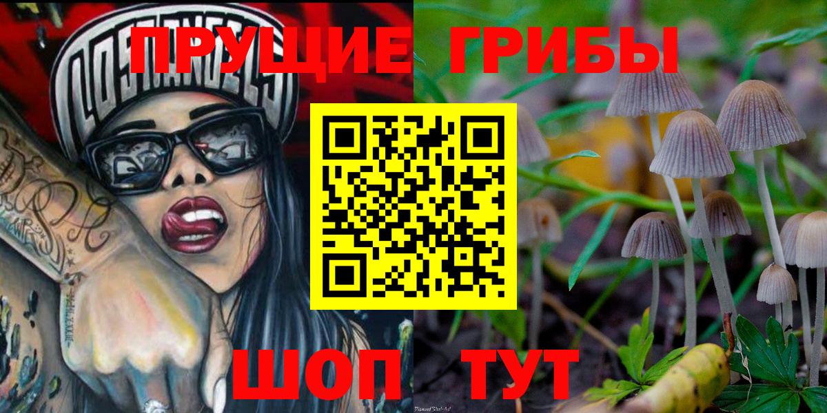 Озёрск  Галлюциногенные грибы Psilocybe  Вход с VPN 