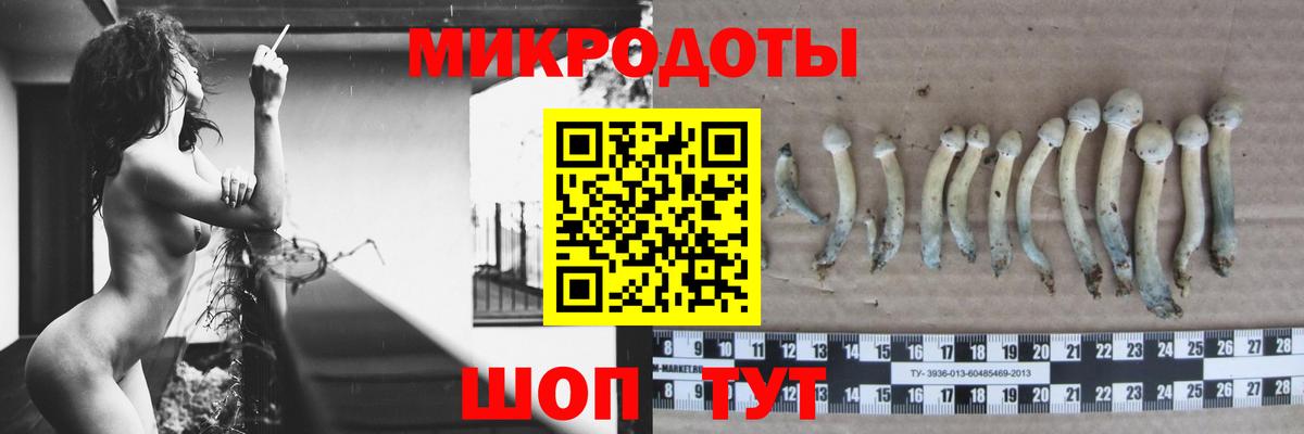 Галлюциногенные грибы Psilocybine cubensis Озёрск